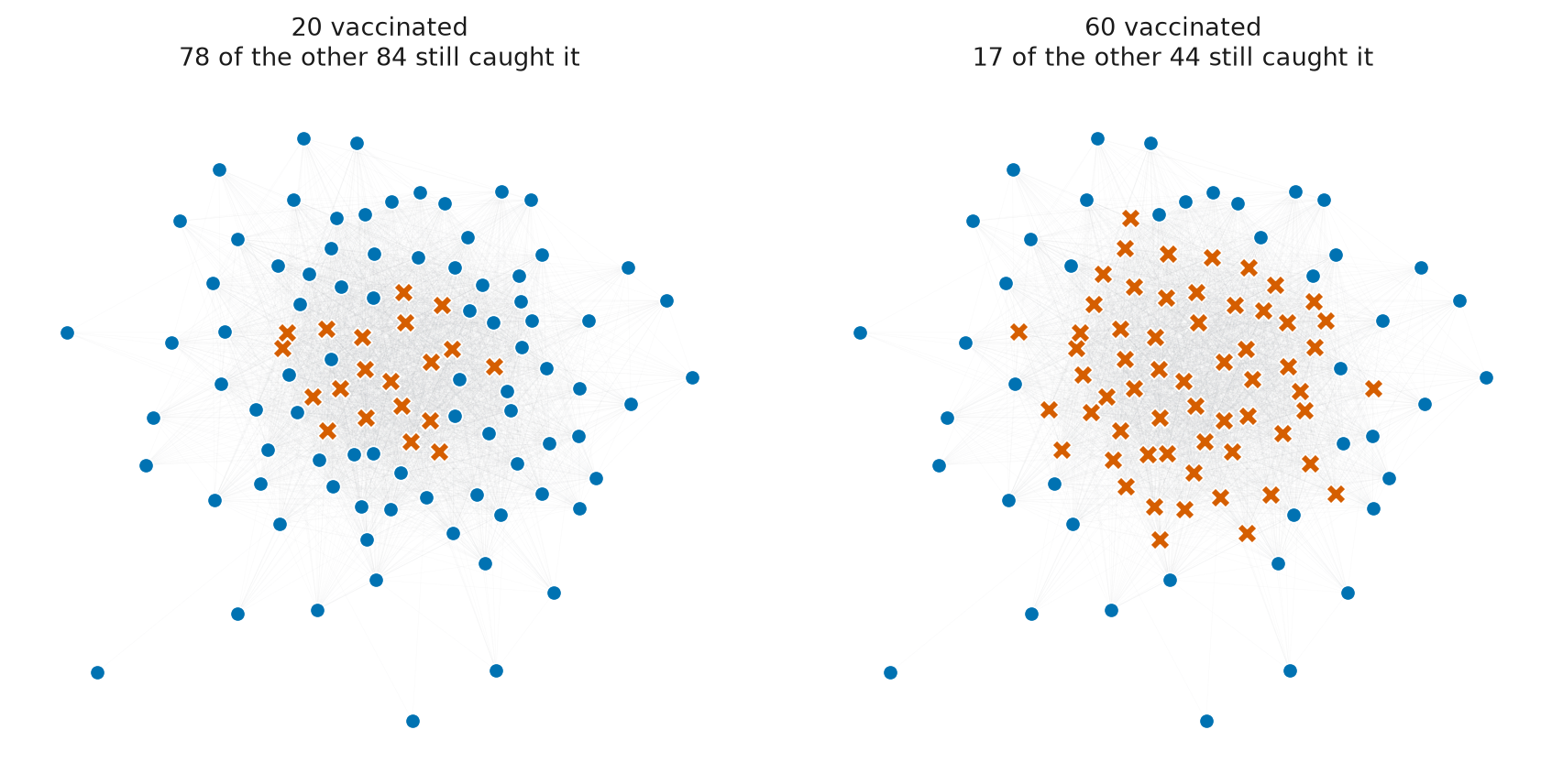 The same network twice, with crosses marking the people the heuristic picks.
With twenty vaccinated the crosses sit in the middle of the cloud and 78 of the
other 84 still catch it. With sixty vaccinated most of the centre is crossed out
and 17 of the other 44 catch
it