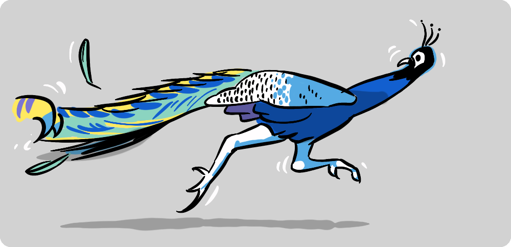 A peacock displaying its costly, extravagant tail.