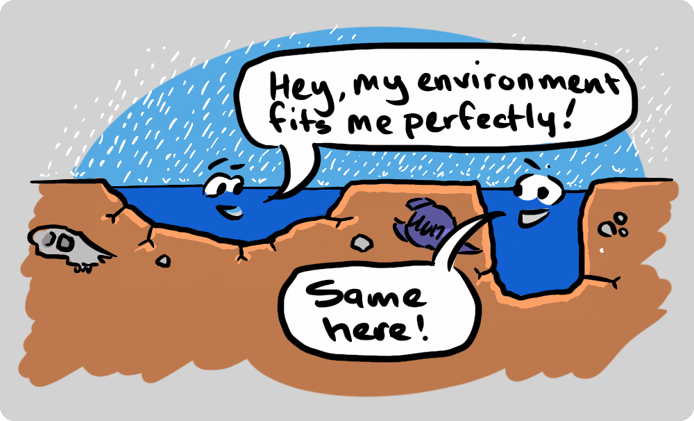 Two puddles, each remarking that their environment fits them perfectly.